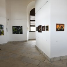 28.8.2020 v Galerii ve Věži ve Vysokém Mýtě (9)